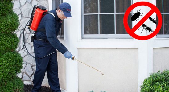 Yağlıdere Akrep İlaçlama böcek ilaçlama ve haşere kontrolü — ilaclama-tr.com
